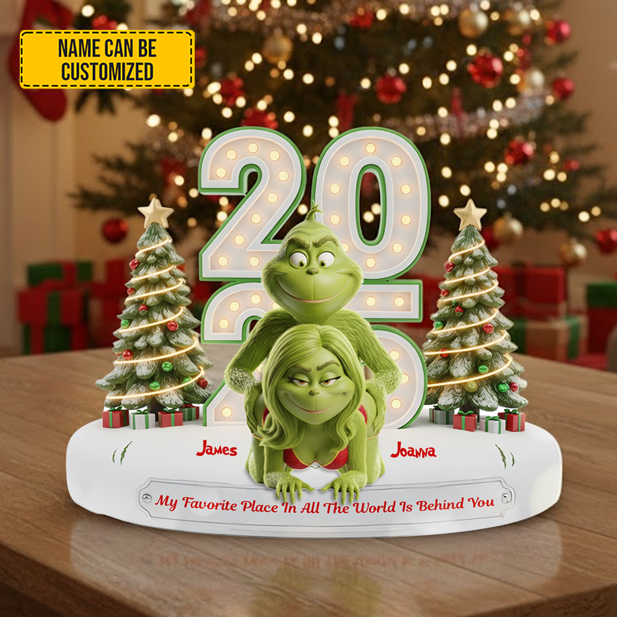 Personalized Funny Christmas Acrylic Plaque Naughty Green Lovers Marriage Presents