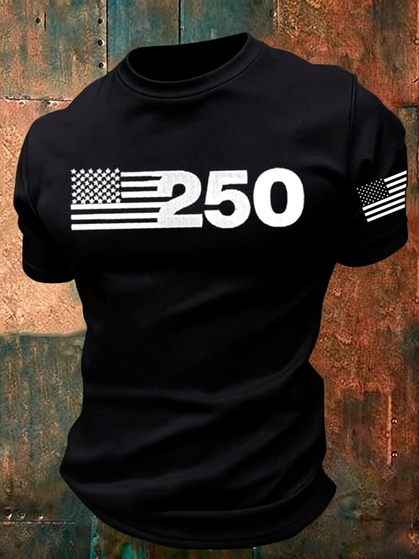 USA 250 Years Of Independence T-Shirt We The People Clothing Gift For Brothers - Tradiviet - Image 2