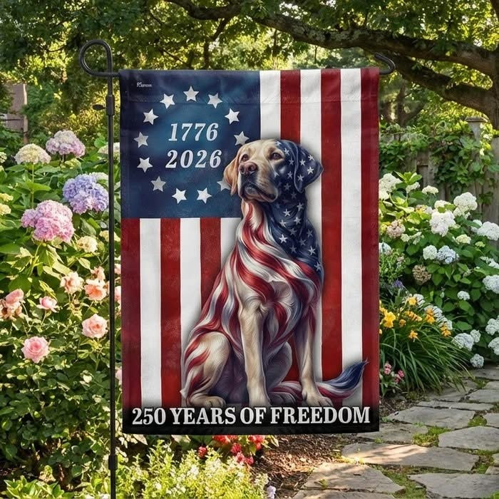 Patriotic Labrador Retriever Flag 250 Years July 4 Apparel Gift Ideas - Tradiviet