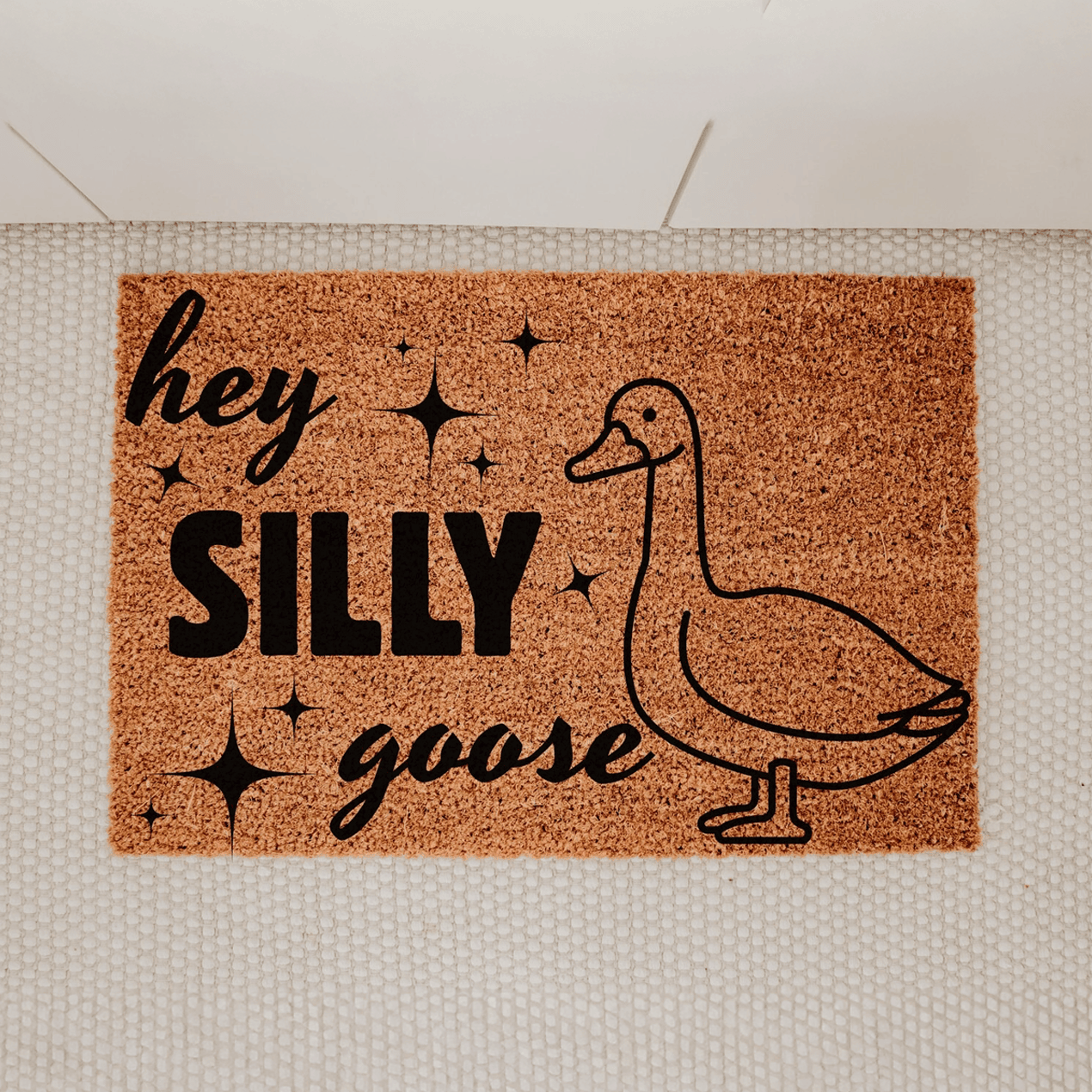 Hey Silly Goose Doormat Funny Goose Welcome Mat Housewarming Gifts For Friends