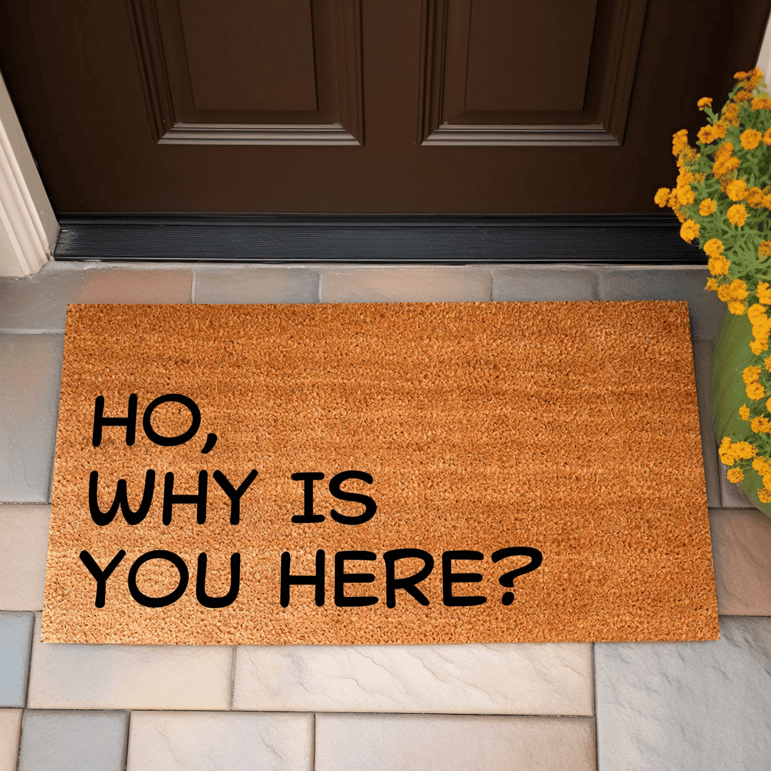 Ho Why Is You Here Doormat Humorous Front Porch Decor The Best Housewarming Gifts