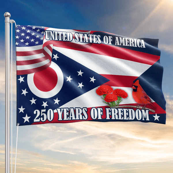 Ohio Flag America 250 Years Of Freedom Ohio State Flag Patriotic Outdoor Decor 4th Of July Gift
