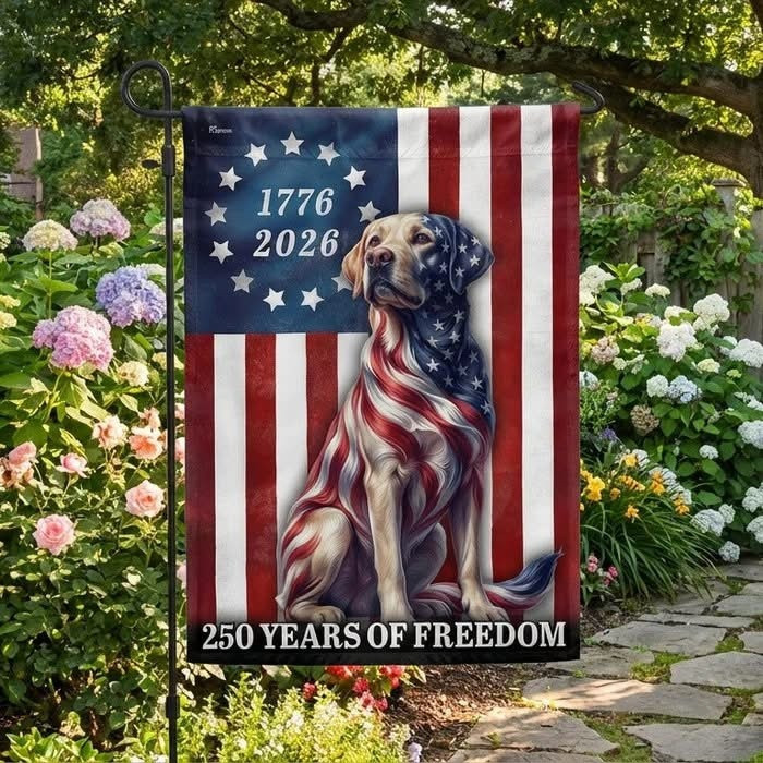 Patriotic Labrador Retriever Flag 250 Years July 4 Apparel Gift Ideas - Tradiviet